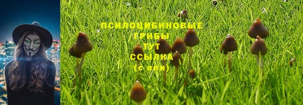 прущие крисы Алексин