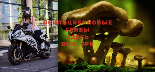 каннабис Алексеевка