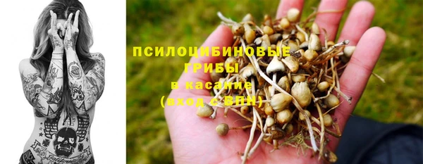 прущие крисы Алексин
