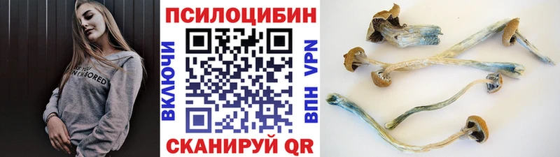Псилоцибиновые грибы Psilocybe  купить   MEGA tor  Лениногорск 